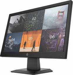 MONITOR HP P19BG4. 18.5"